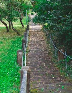 Idyllic forest pathway surrounded by lush greenery in a tranquil park setting.